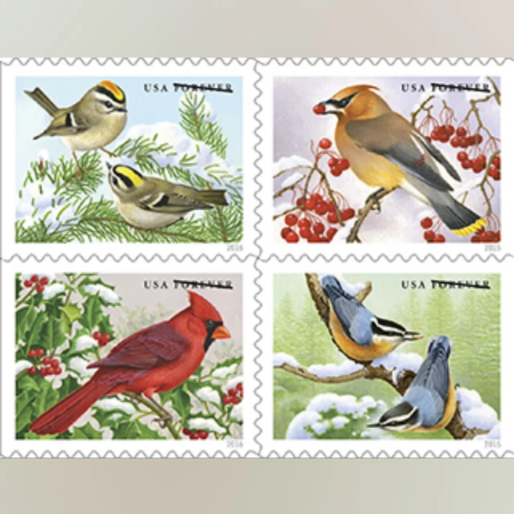100 Songbirds in Snow Forever Postage Stamps US Postal USPS Wedding Invitations‎